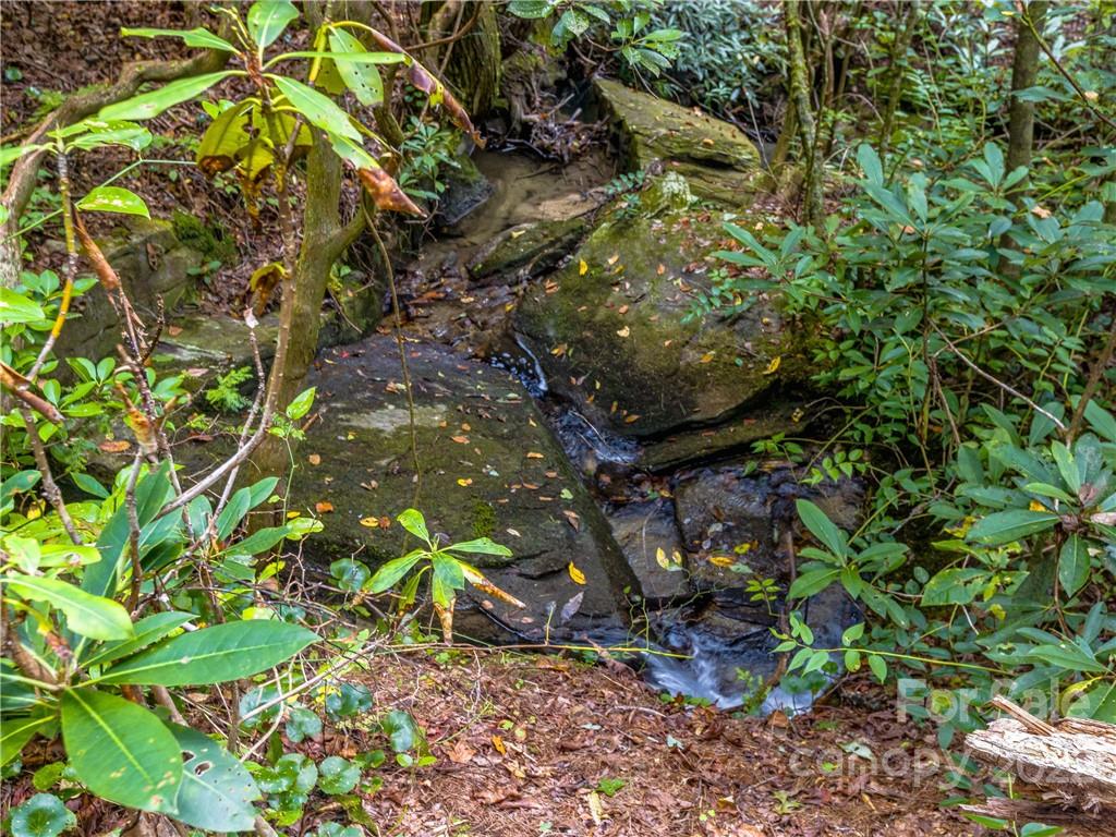 547 Round Mountain Road Brevard, NC 28712 - Photo 13 of 38 Gallery Image 13