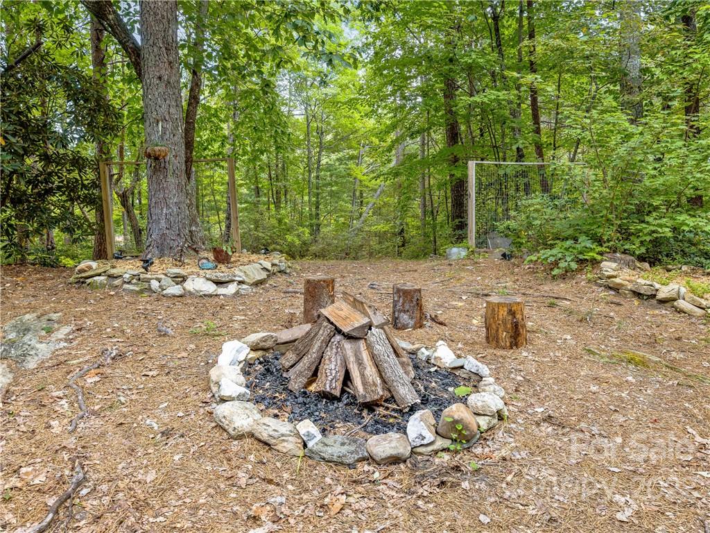 547 Round Mountain Road Brevard, NC 28712 - Photo 14 of 38 Gallery Image 14