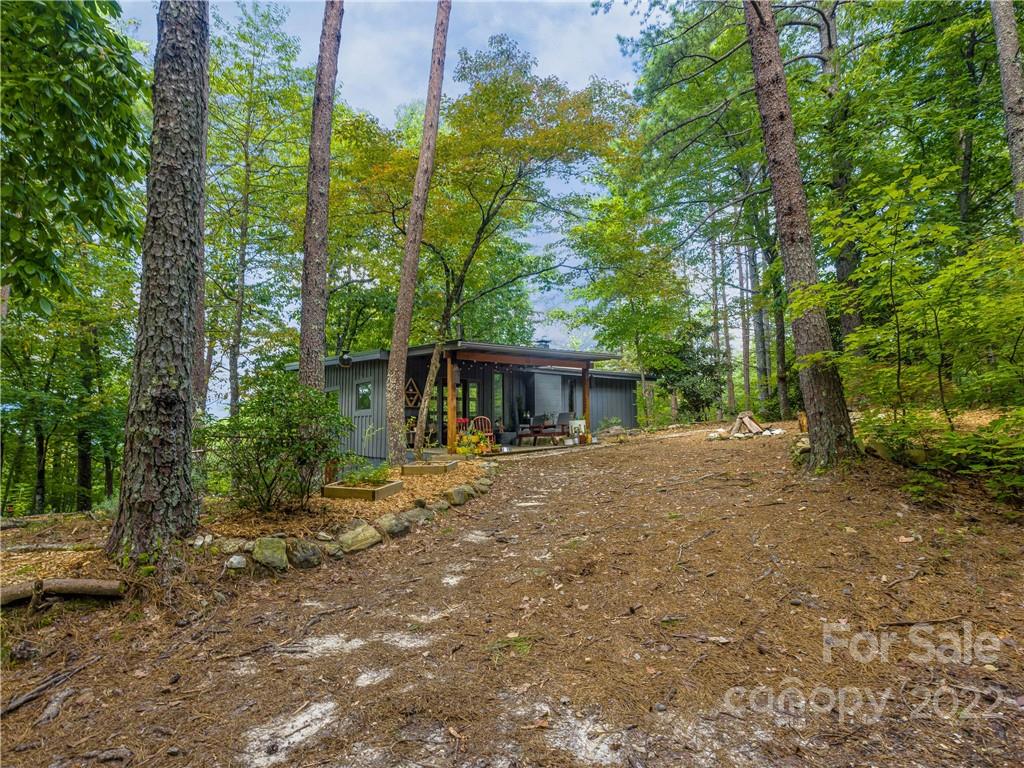 547 Round Mountain Road Brevard, NC 28712 - Photo 2 of 38 Gallery Image 2