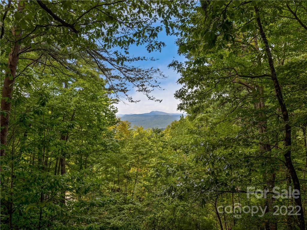 547 Round Mountain Road Brevard, NC 28712 - Photo 7 of 38 Gallery Image 7