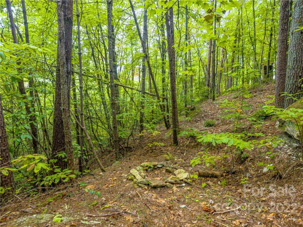 547 Round Mountain Road Brevard, NC 28712 - Photo 10 of 38 Gallery Image 10