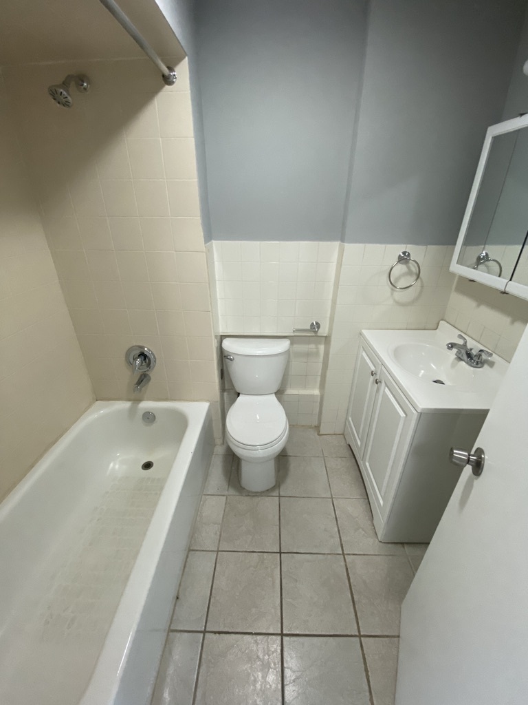 29837 Highway 50, Unit E1 Peotone, IL 60468 - Photo 13 of 17 a bathroom with a sink a toilet and a bathtub