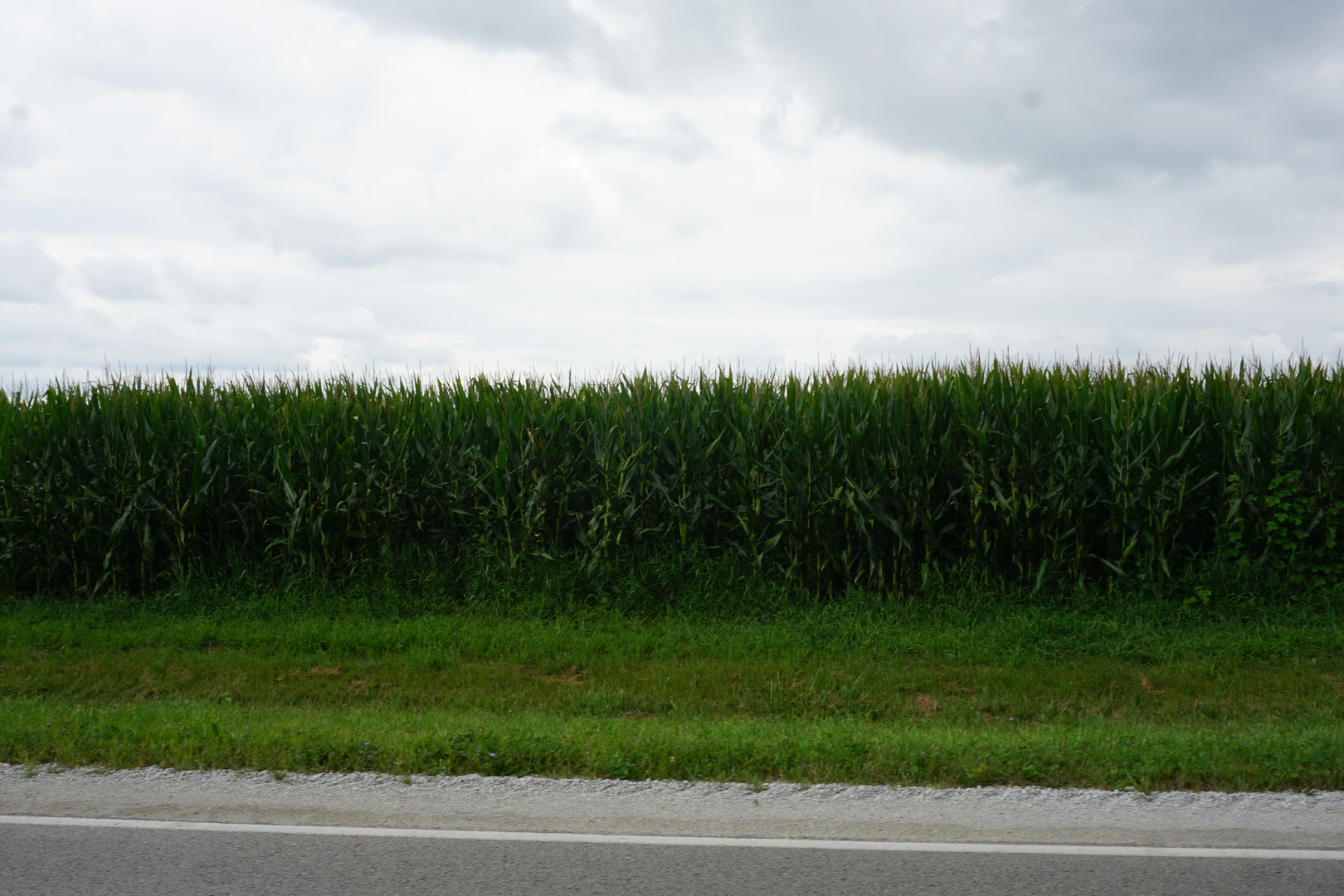 7500 North Rt 50 Manteno, IL 60950 - Photo 4 of 9 a view of a yard and entertaining space