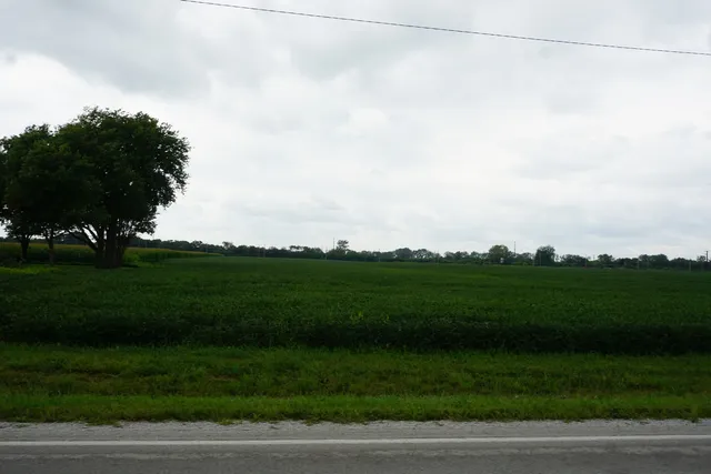 a view of a field with a yard