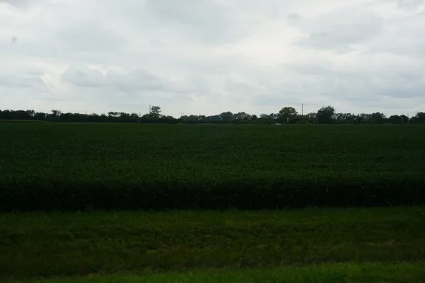 a view of a grassy field with clear sky