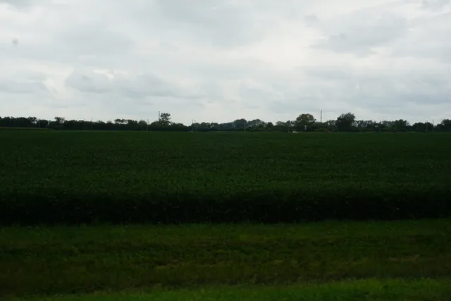 a view of a grassy field with clear sky