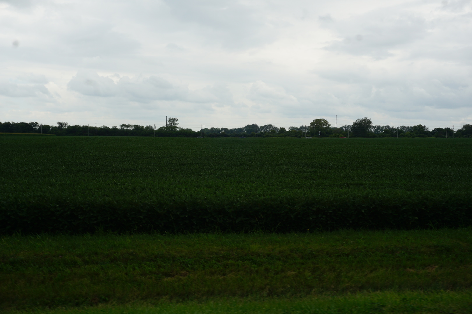 7500 North Rt 50 Manteno, IL 60950 - Photo 7 of 9 a view of a grassy field with clear sky