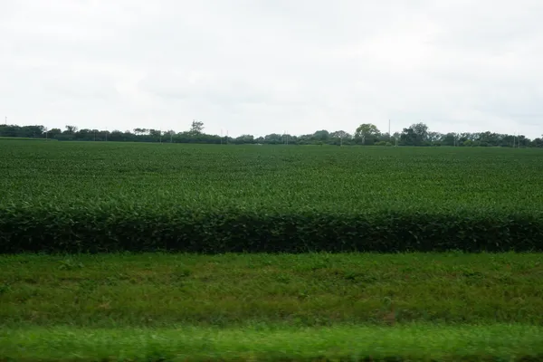 a view of a grassy field