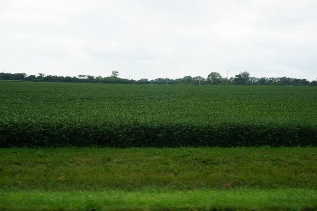 a view of a grassy field