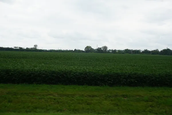 a view of a field of grass and trees