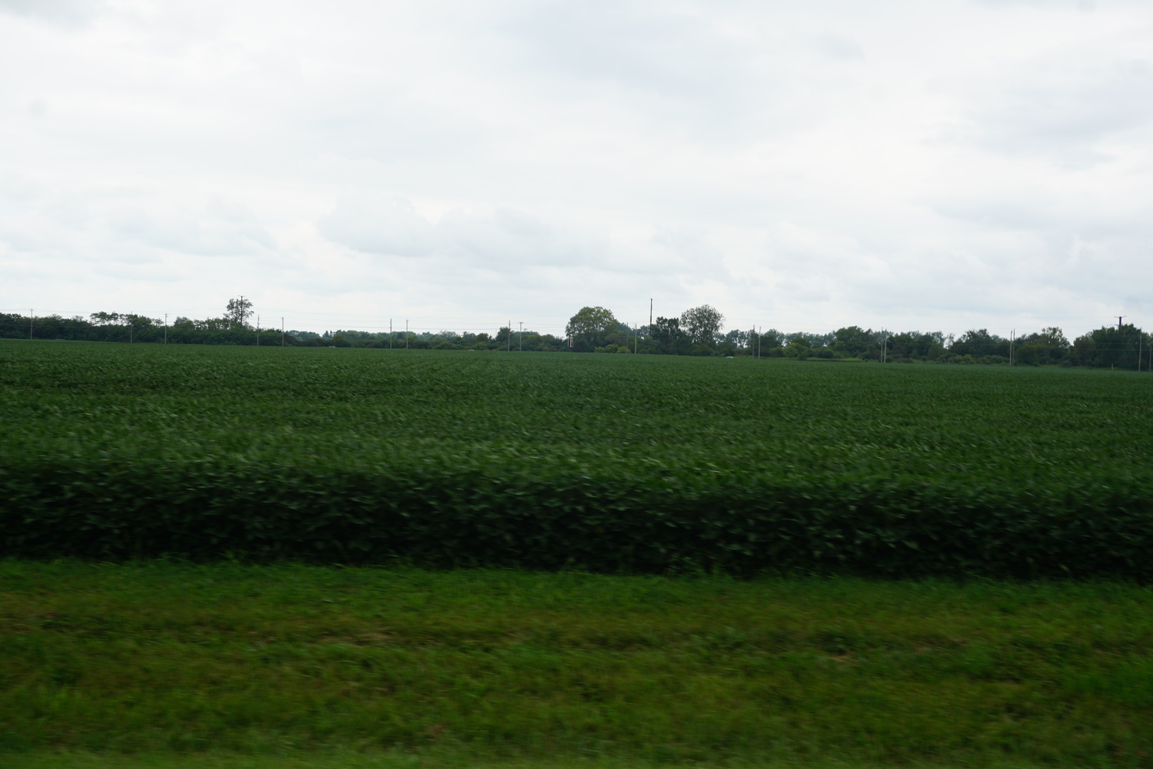 7500 North Rt 50 Manteno, IL 60950 - Photo 9 of 9 a view of a field of grass and trees