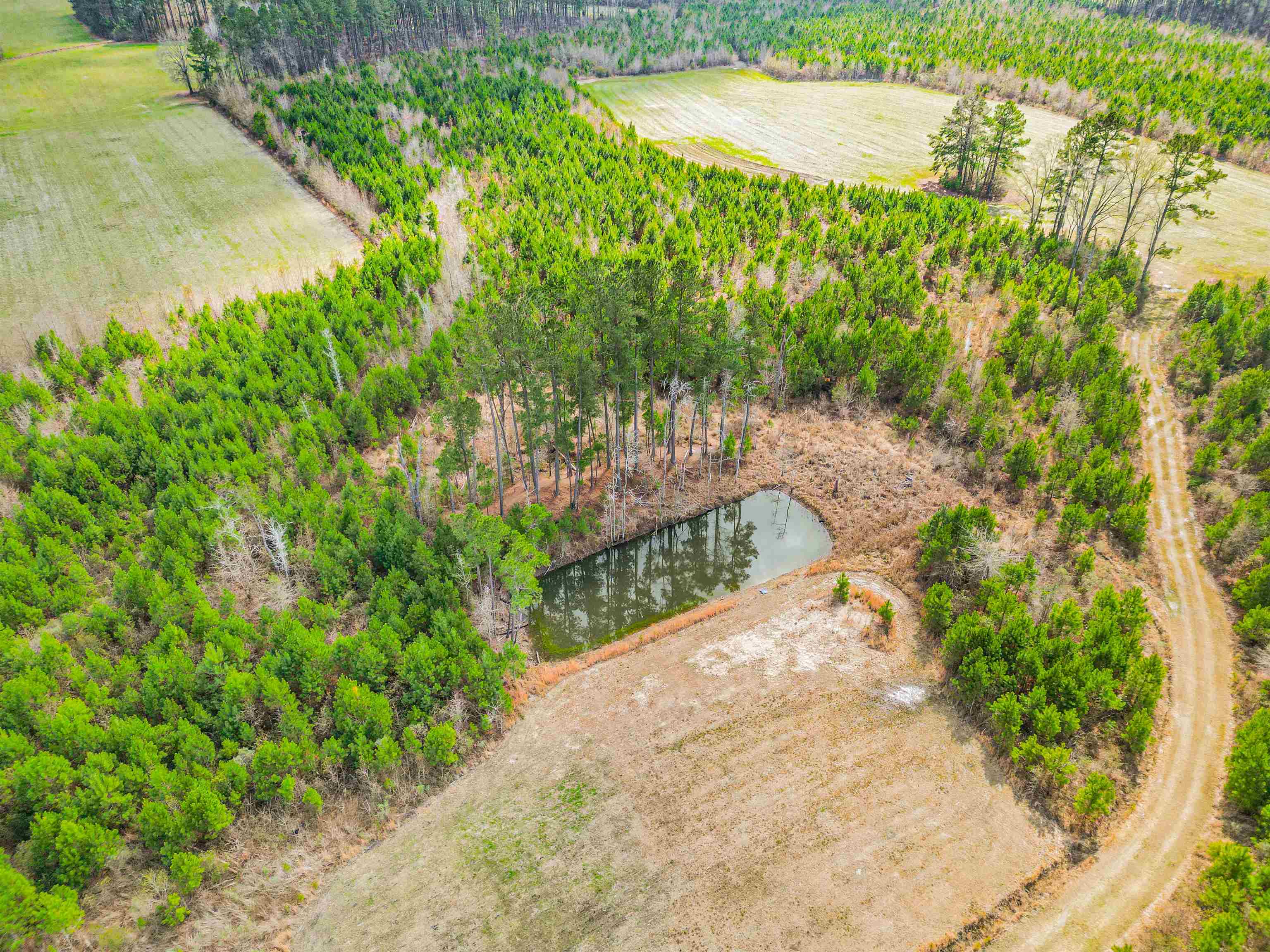 Tbd Muddy Creek Road Hemingway, SC 29554 - Photo 10 of 21