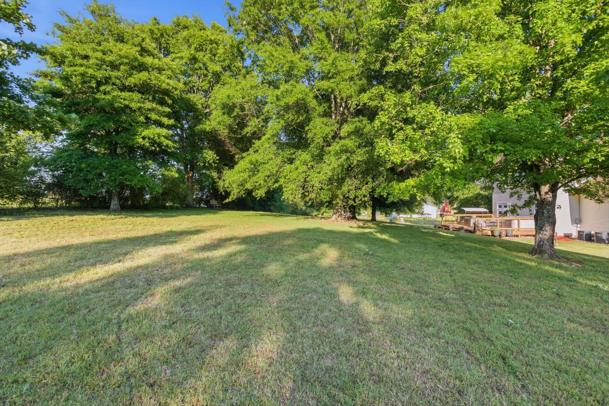 1038 South Cross Bridges Road Mount Pleasant, TN 38474 - Photo 27 of 39 a view of outdoor space with garden and trees