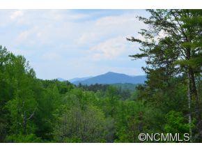 185 Locust Grove Road Weaverville, NC 28787 - Photo 1 of 5 Gallery Image 1