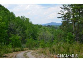 185 Locust Grove Road Weaverville, NC 28787 - Photo 2 of 5 Gallery Image 2