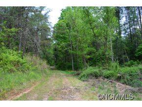 185 Locust Grove Road Weaverville, NC 28787 - Photo 5 of 5 Gallery Image 5