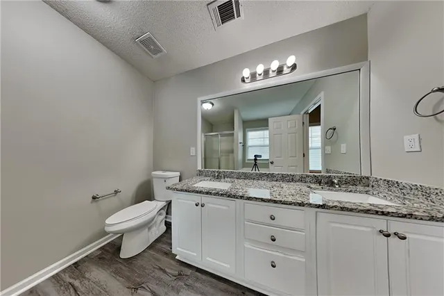 a bathroom with a granite countertop sink a toilet and a mirror
