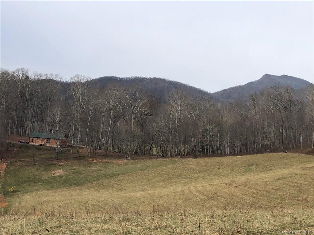 0 Eagle Ridge, Unit 2 Clyde, NC 28721 - Photo 6 of 8 a view of a backyard