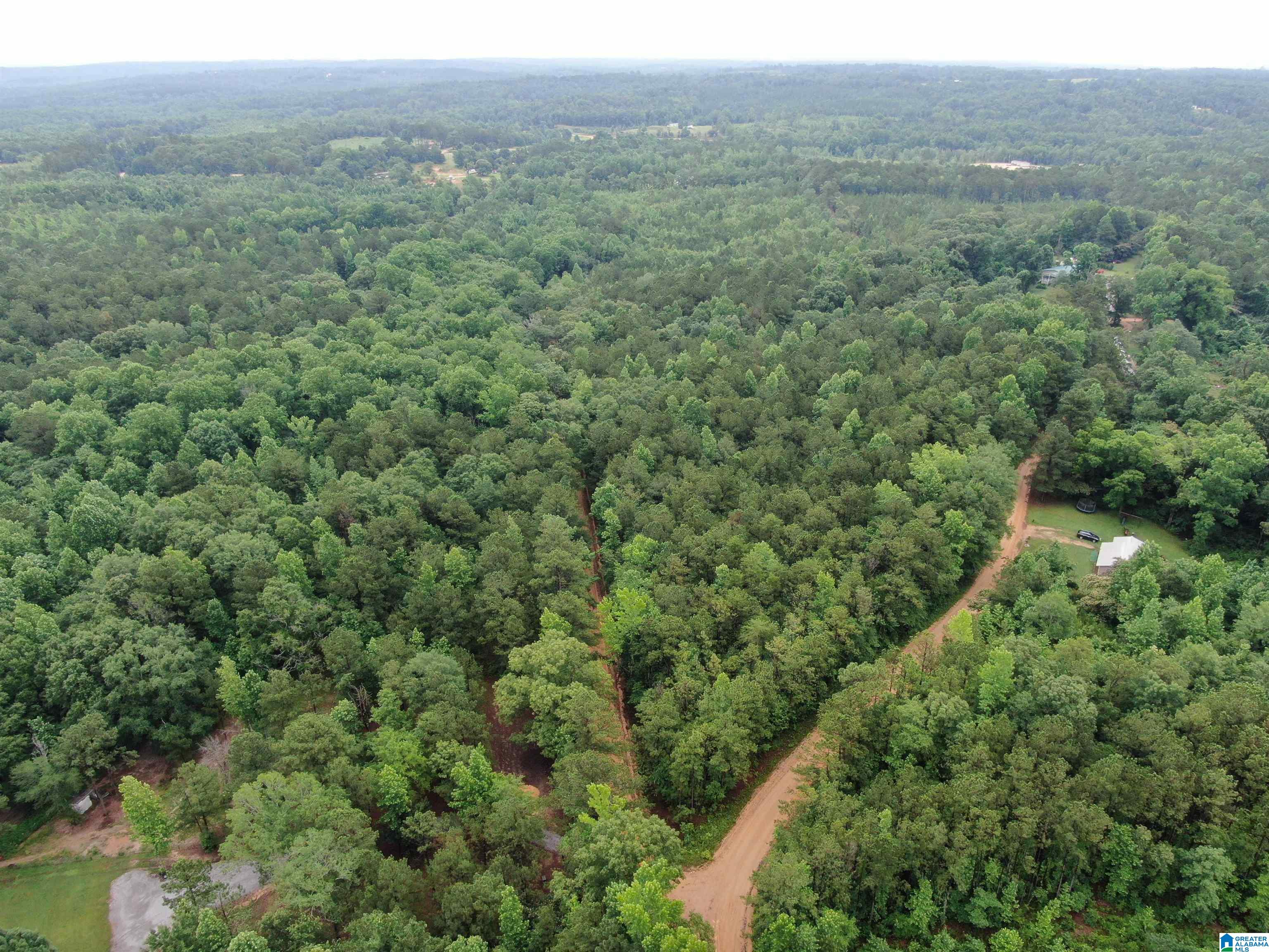 536 County Road, Unit 1 Marbury, AL 36051 - Photo 3 of 12