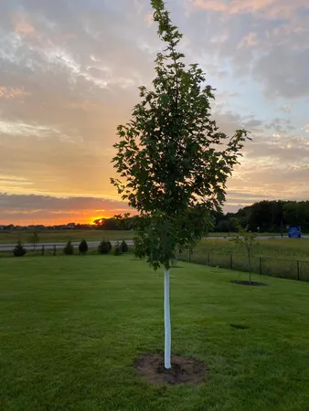 $554,900 | 745 152nd Avenue Northwest, Andover, MN 55304