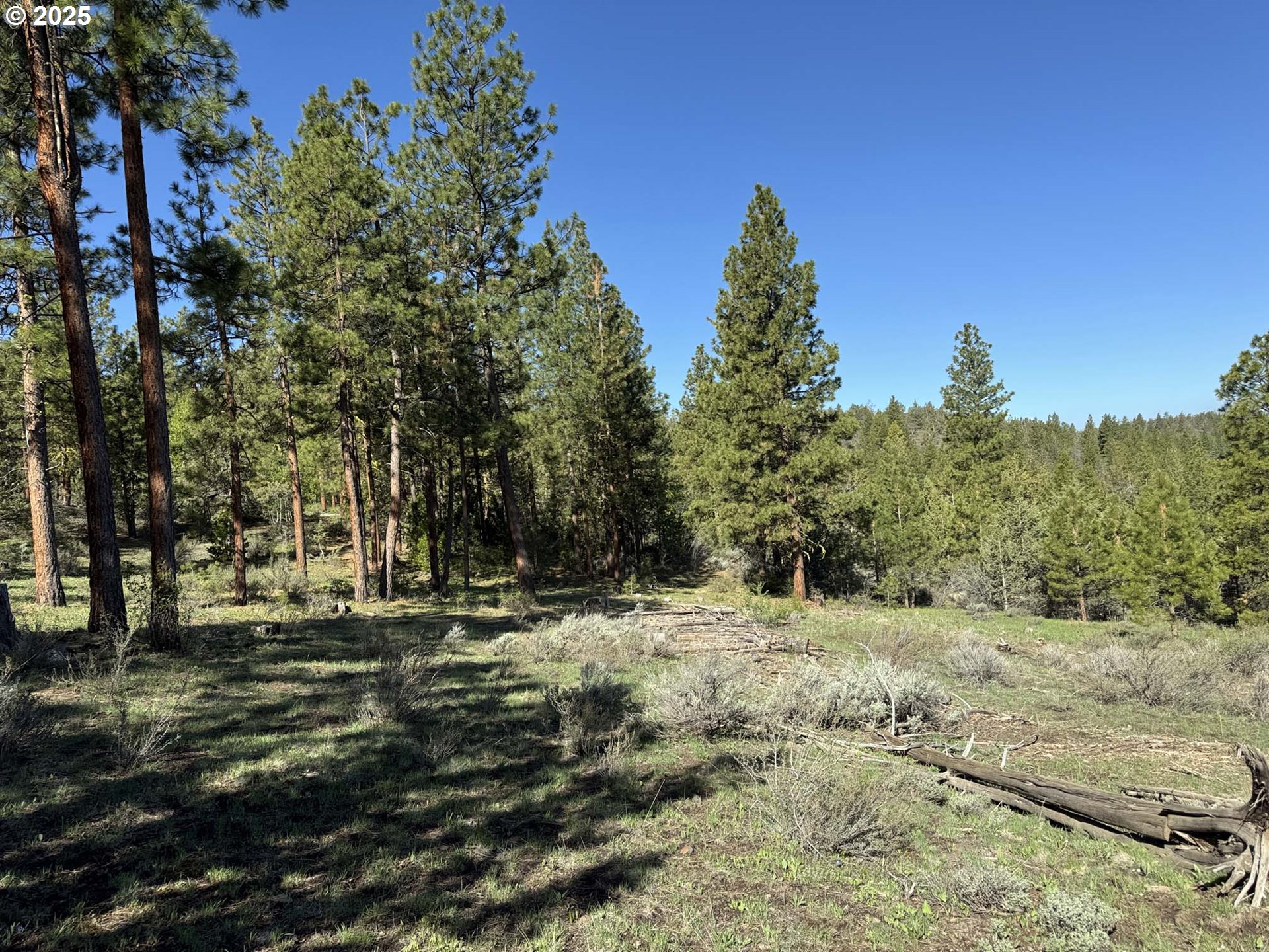 Drews Gap Road, Unit TL 1300 Lakeview, OR 97630 - Photo 11 of 43 Gallery Image 11