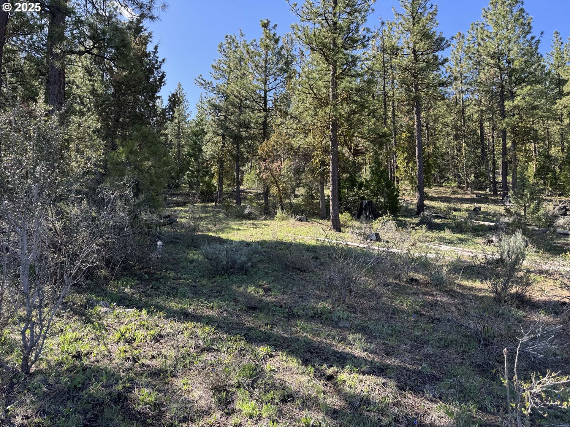 Drews Gap Road, Unit TL 1300 Lakeview, OR 97630 - Photo 12 of 43 Gallery Image 12