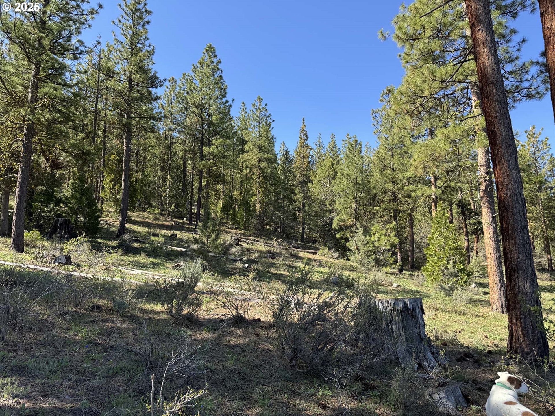 Drews Gap Road, Unit TL 1300 Lakeview, OR 97630 - Photo 13 of 43 Gallery Image 13