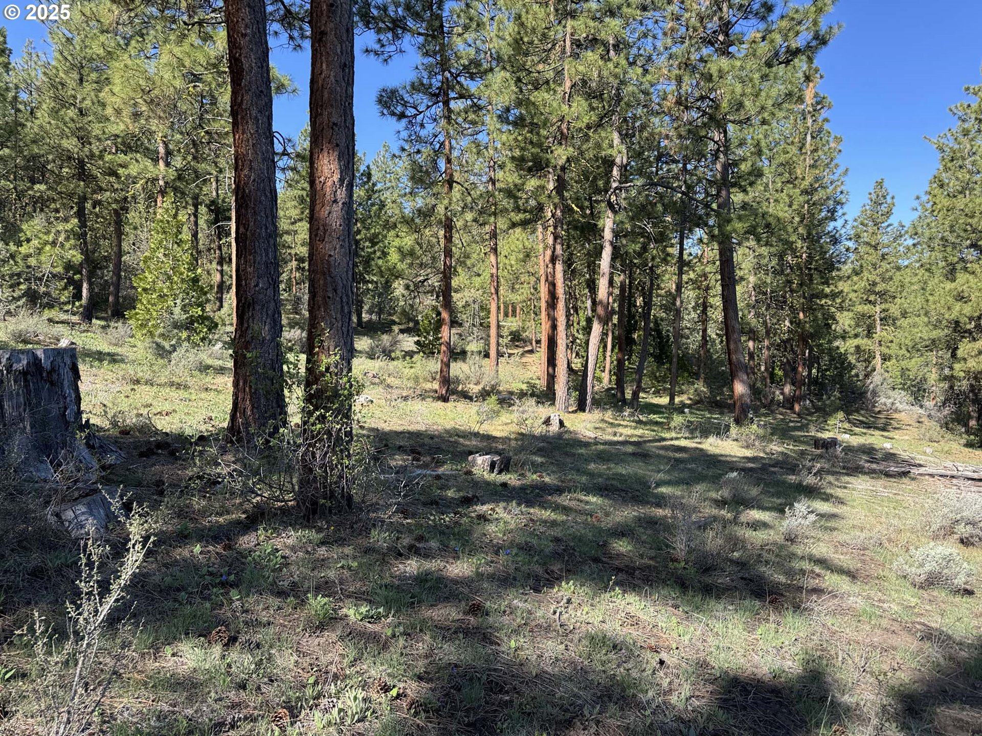 Drews Gap Road, Unit TL 1300 Lakeview, OR 97630 - Photo 14 of 43 Gallery Image 14