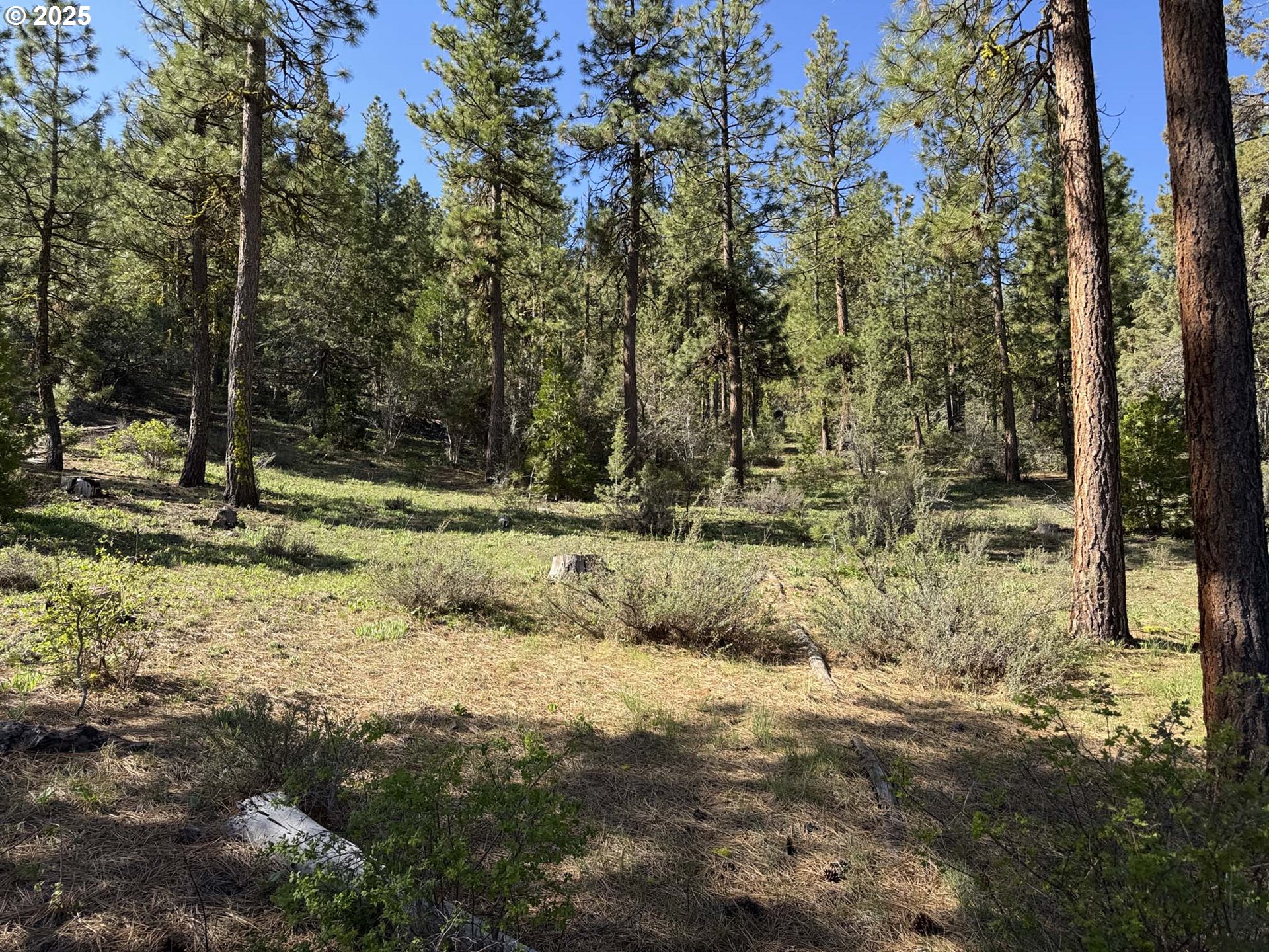 Drews Gap Road, Unit TL 1300 Lakeview, OR 97630 - Photo 15 of 43 Gallery Image 15