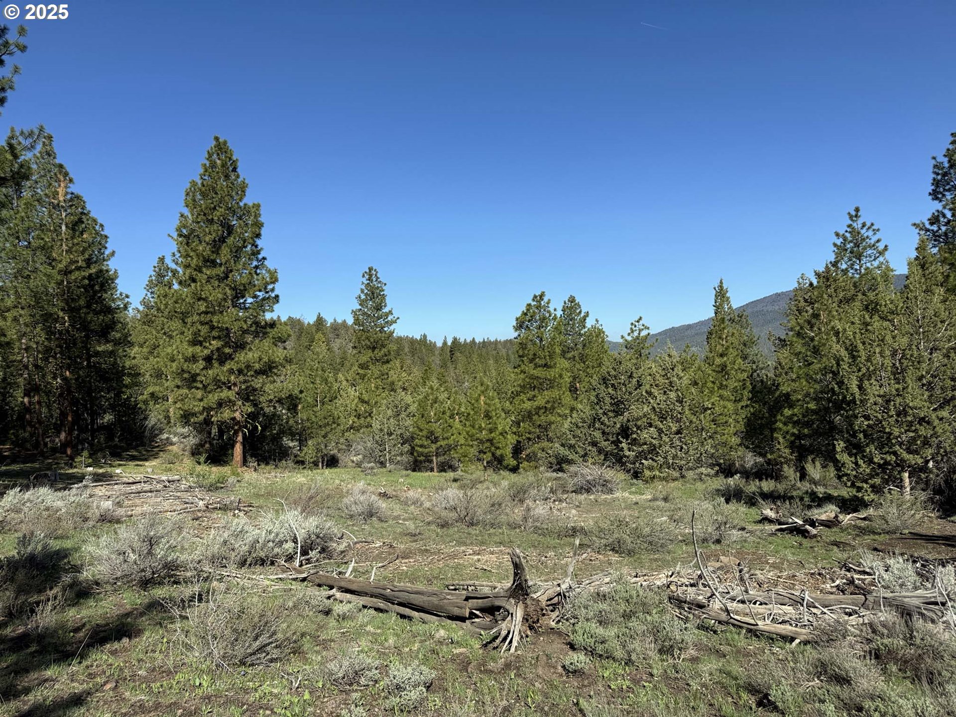 Drews Gap Road, Unit TL 1300 Lakeview, OR 97630 - Photo 17 of 43 Gallery Image 17