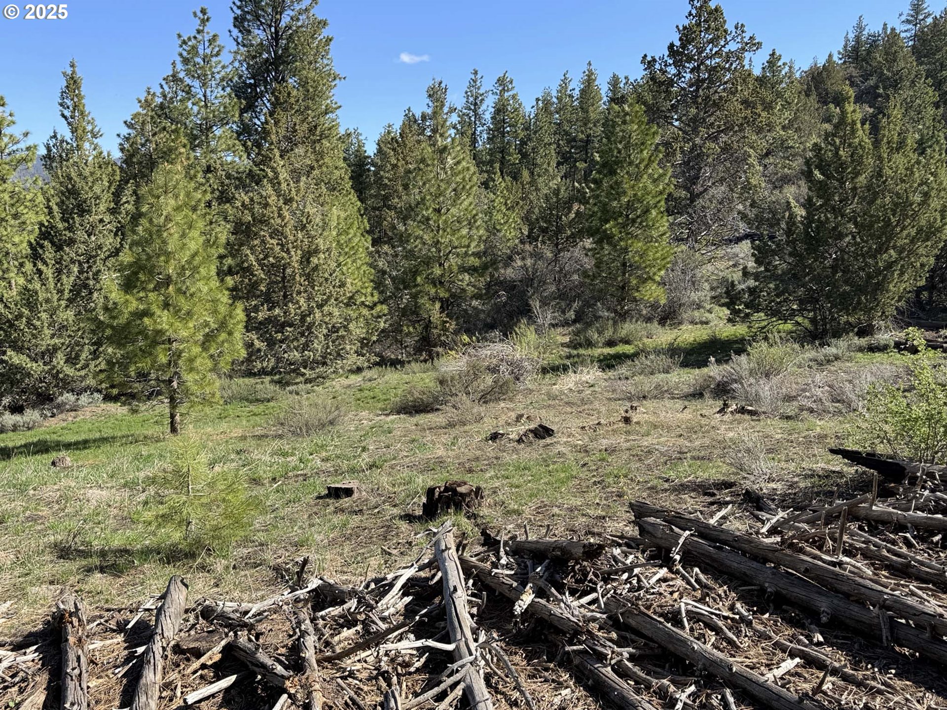 Drews Gap Road, Unit TL 1300 Lakeview, OR 97630 - Photo 18 of 43 Gallery Image 18