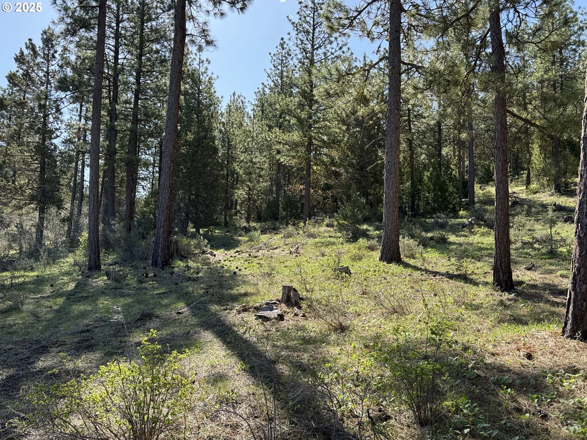 Drews Gap Road, Unit TL 1300 Lakeview, OR 97630 - Photo 19 of 43 Gallery Image 19
