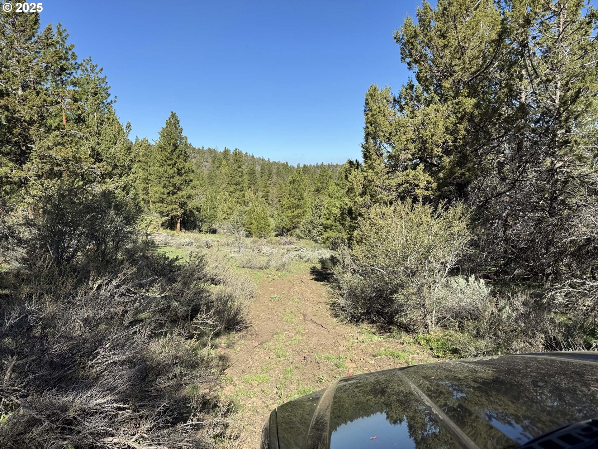 Drews Gap Road, Unit TL 1300 Lakeview, OR 97630 - Photo 2 of 43 Gallery Image 2