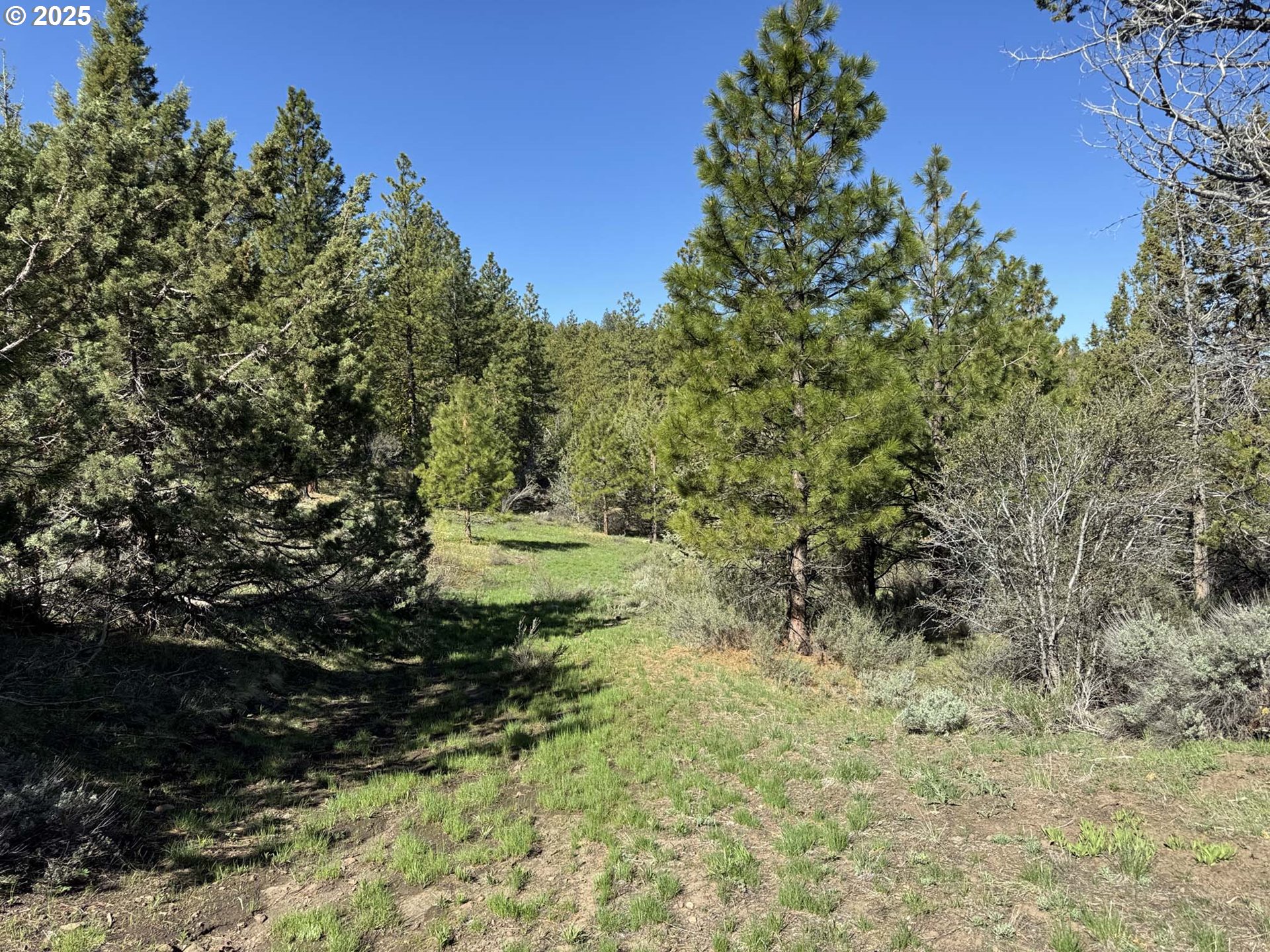 Drews Gap Road, Unit TL 1300 Lakeview, OR 97630 - Photo 21 of 43 Gallery Image 21