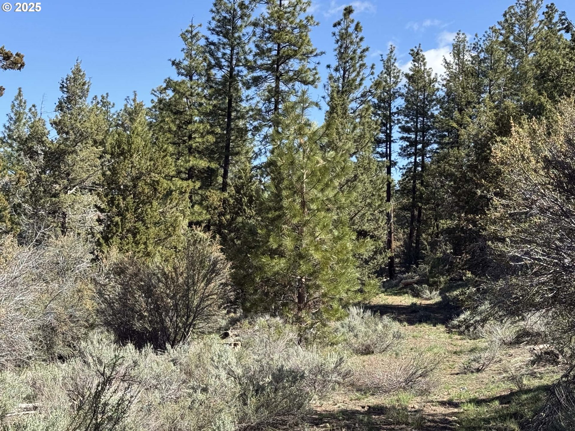 Drews Gap Road, Unit TL 1300 Lakeview, OR 97630 - Photo 22 of 43 Gallery Image 22