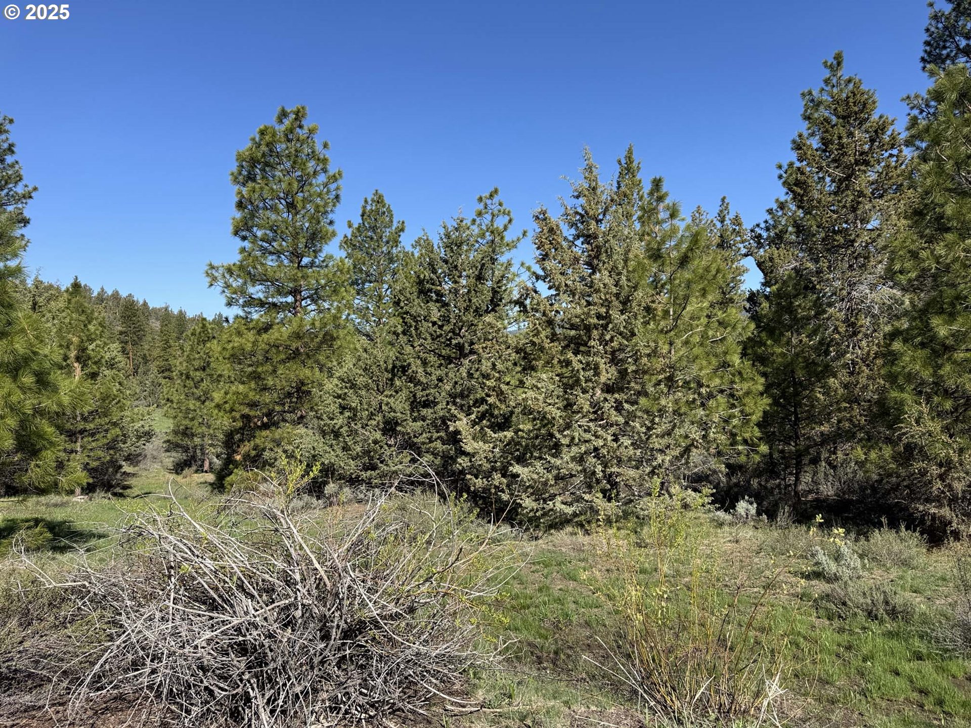 Drews Gap Road, Unit TL 1300 Lakeview, OR 97630 - Photo 23 of 43 Gallery Image 23