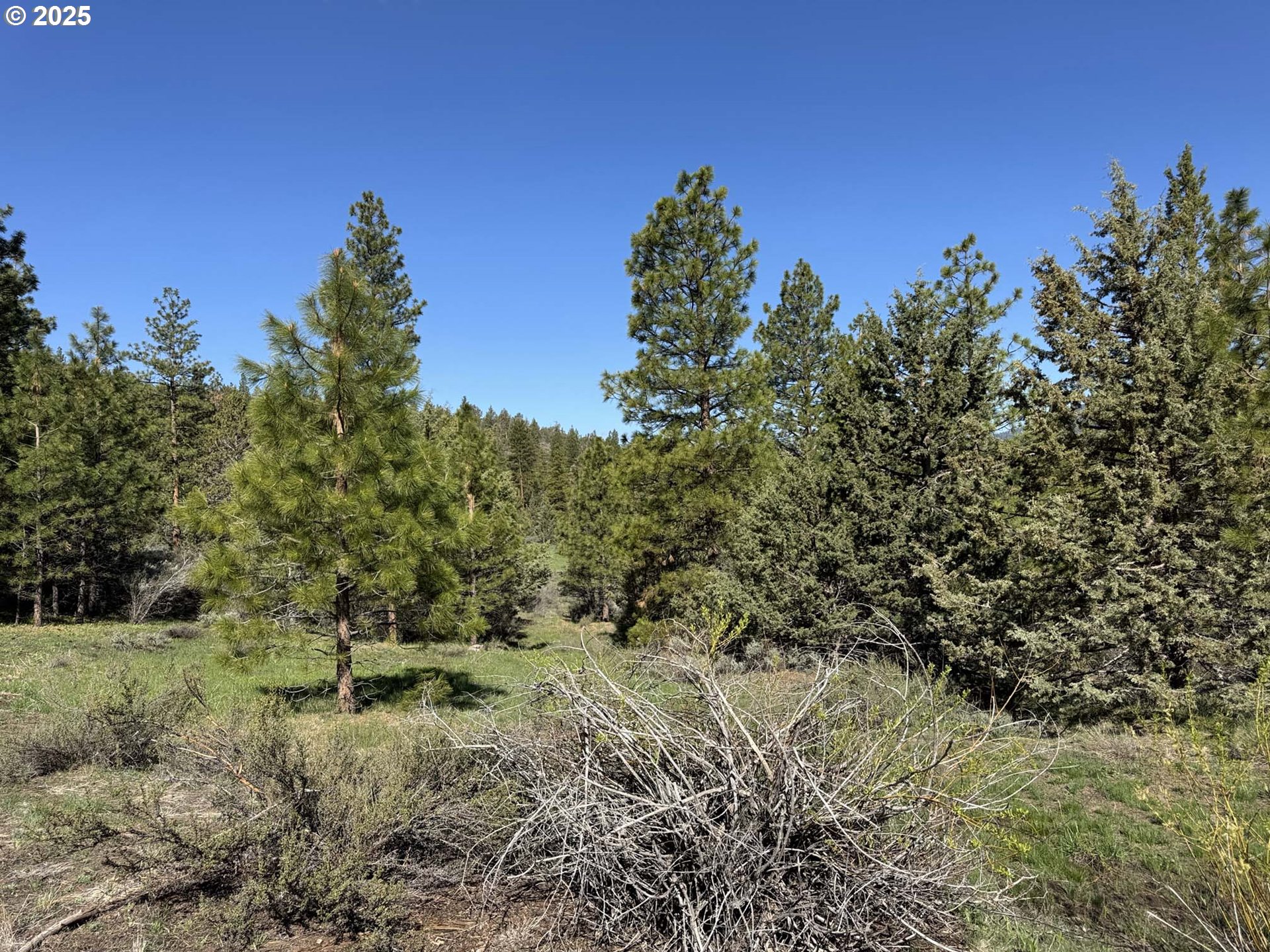 Drews Gap Road, Unit TL 1300 Lakeview, OR 97630 - Photo 24 of 43 Gallery Image 24