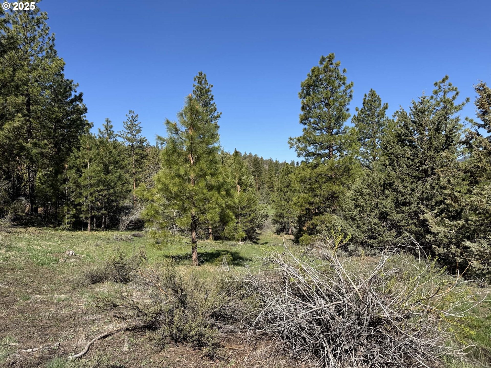 Drews Gap Road, Unit TL 1300 Lakeview, OR 97630 - Photo 25 of 43 Gallery Image 25