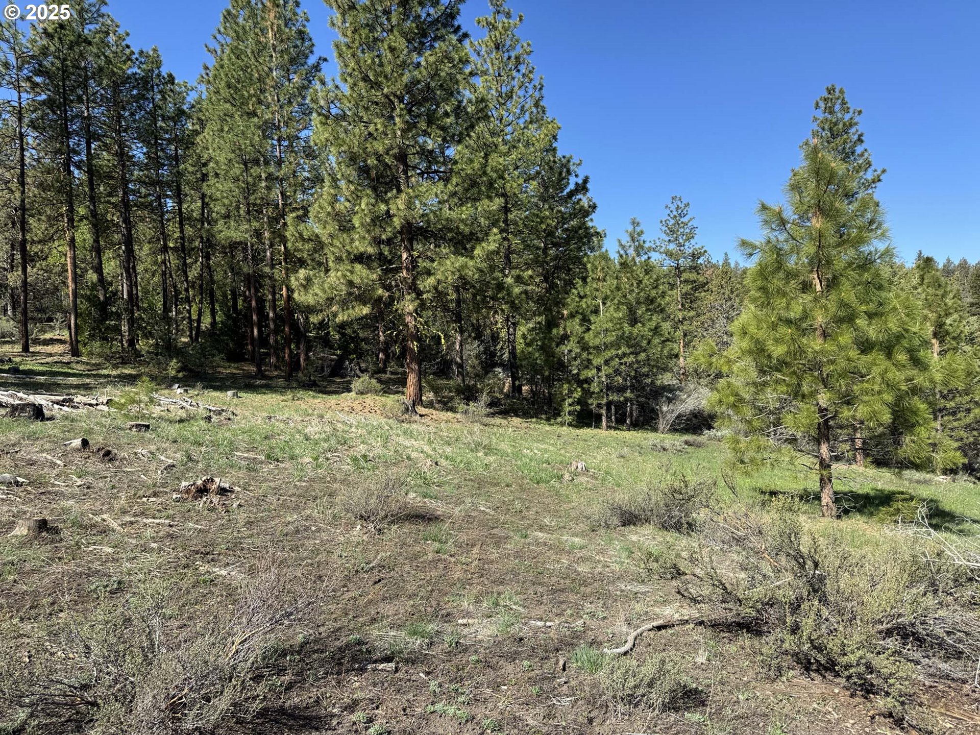 Drews Gap Road, Unit TL 1300 Lakeview, OR 97630 - Photo 26 of 43 Gallery Image 26