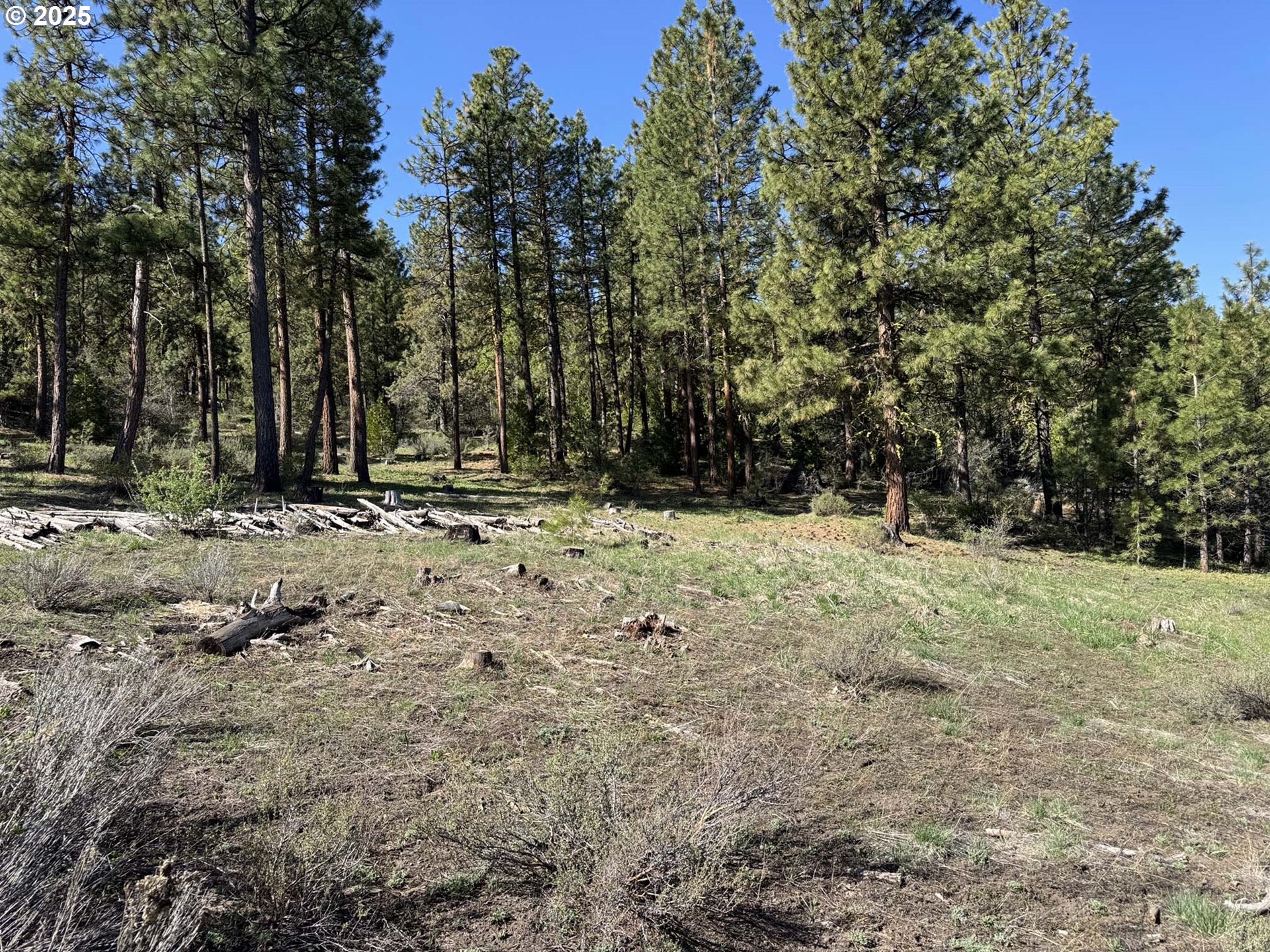 Drews Gap Road, Unit TL 1300 Lakeview, OR 97630 - Photo 27 of 43 Gallery Image 27