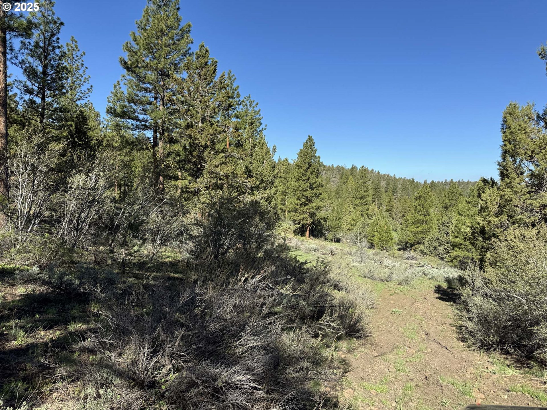 Drews Gap Road, Unit TL 1300 Lakeview, OR 97630 - Photo 3 of 43 Gallery Image 3