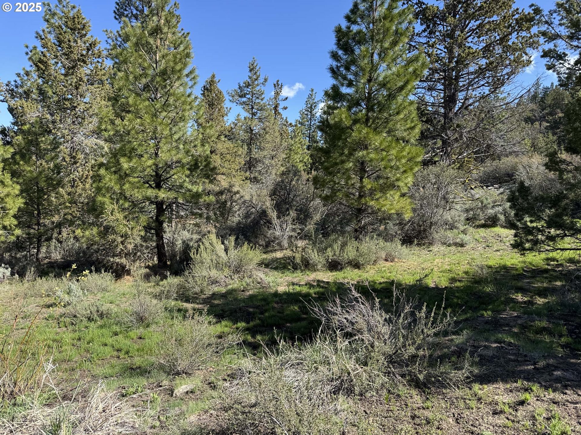 Drews Gap Road, Unit TL 1300 Lakeview, OR 97630 - Photo 31 of 43 Gallery Image 31