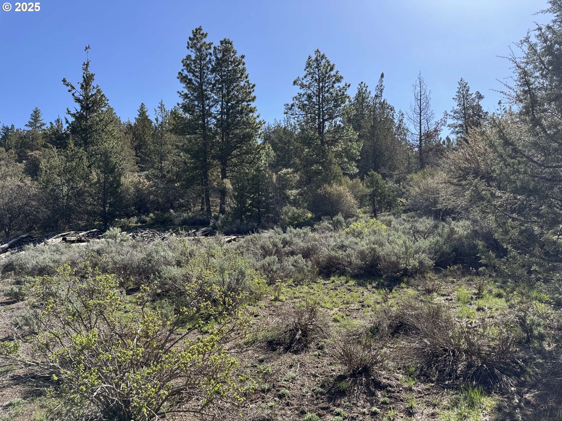 Drews Gap Road, Unit TL 1300 Lakeview, OR 97630 - Photo 33 of 43 Gallery Image 33