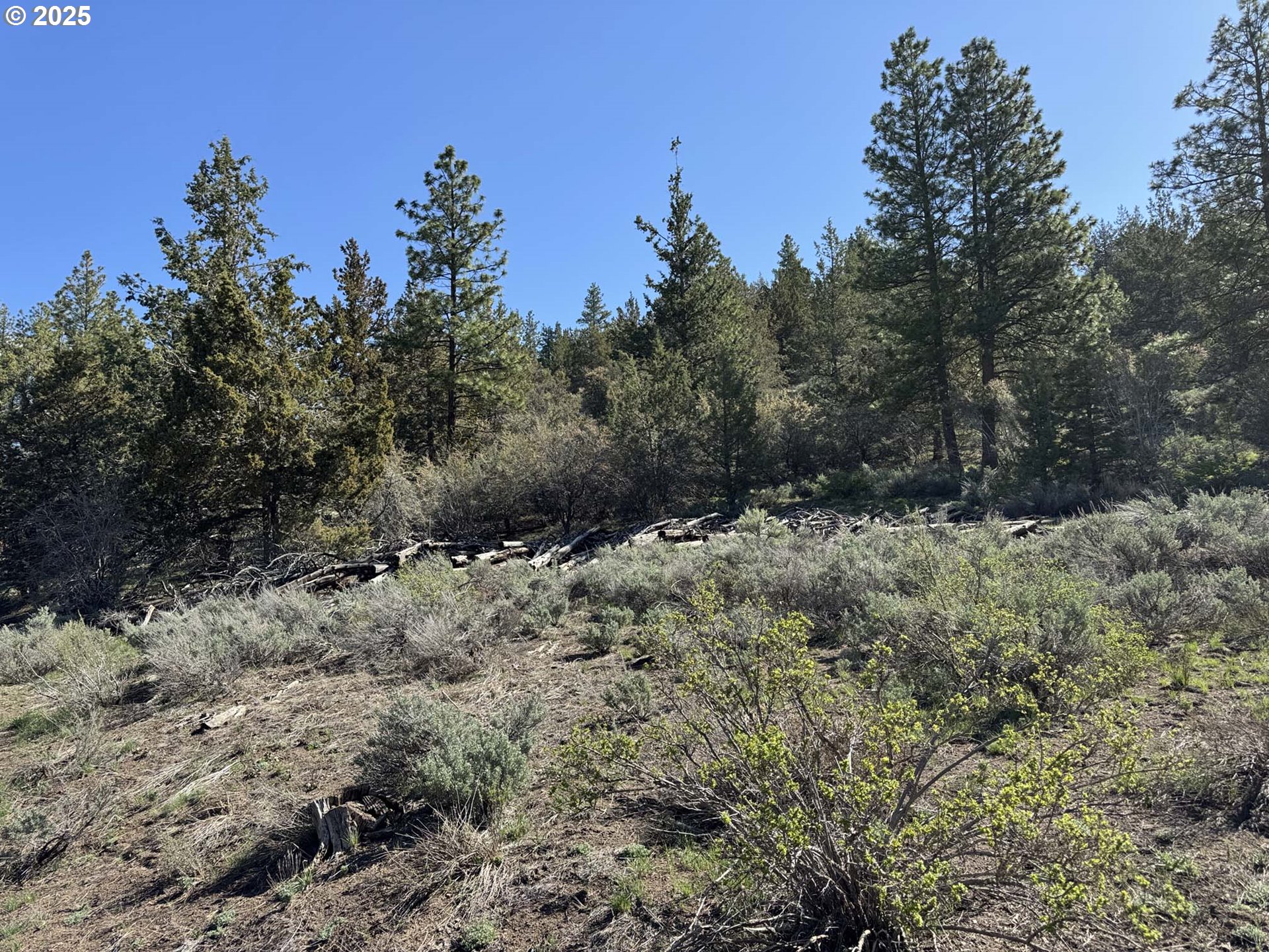 Drews Gap Road, Unit TL 1300 Lakeview, OR 97630 - Photo 34 of 43 Gallery Image 34