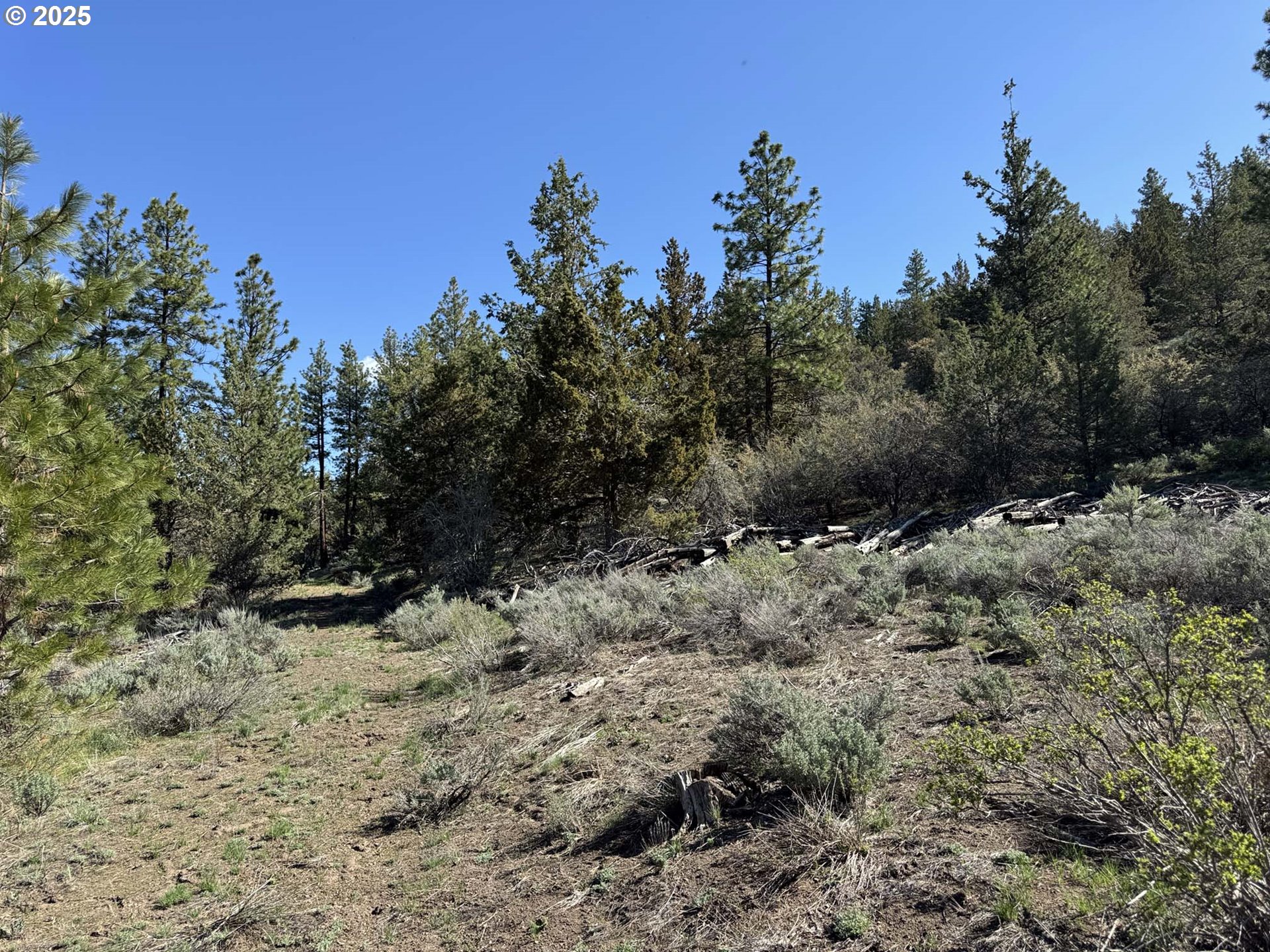 Drews Gap Road, Unit TL 1300 Lakeview, OR 97630 - Photo 35 of 43 Gallery Image 35