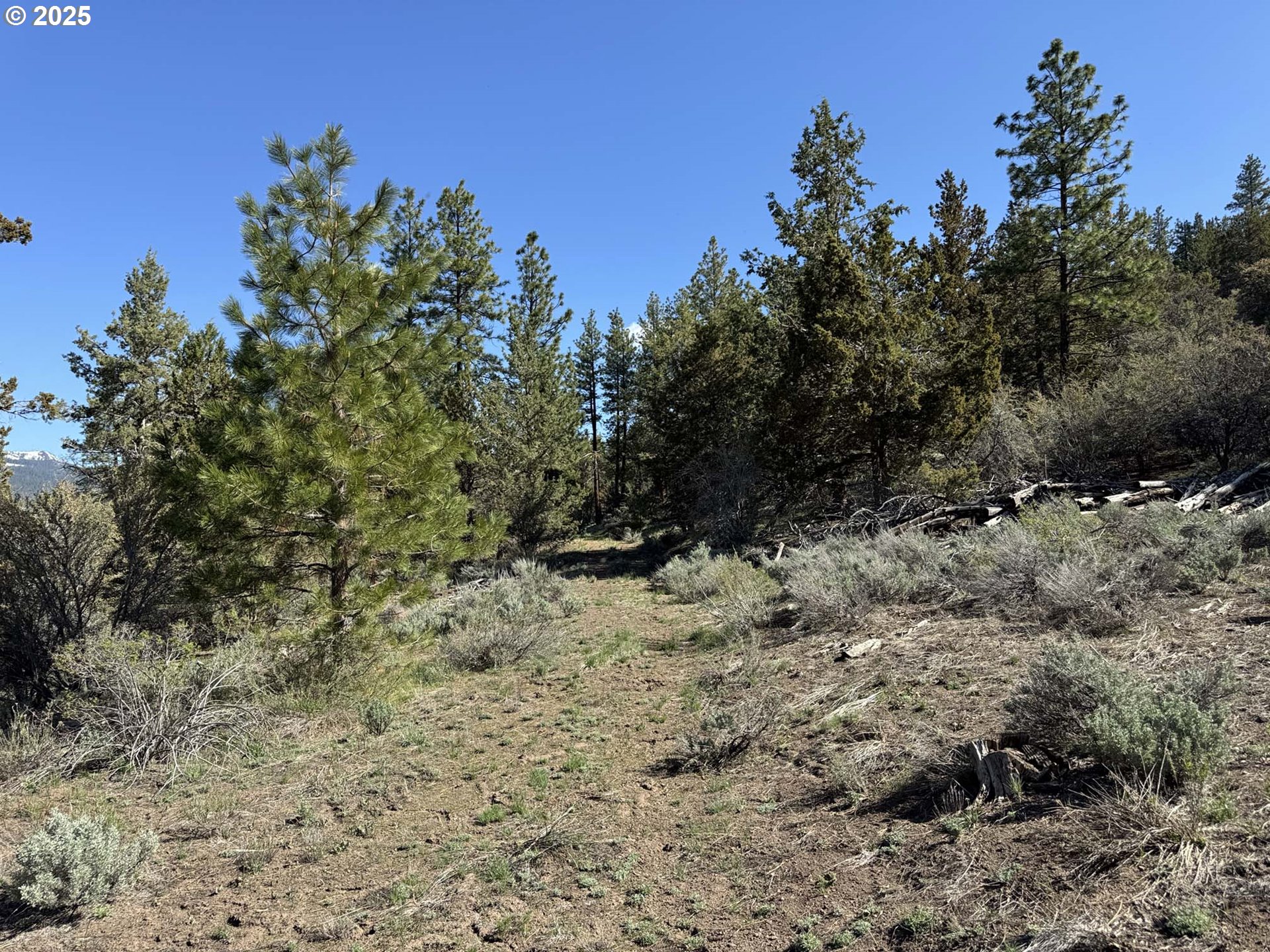 Drews Gap Road, Unit TL 1300 Lakeview, OR 97630 - Photo 36 of 43 Gallery Image 36