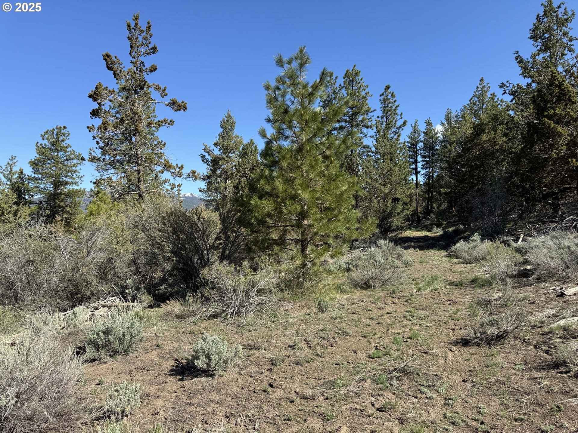 Drews Gap Road, Unit TL 1300 Lakeview, OR 97630 - Photo 37 of 43 Gallery Image 37