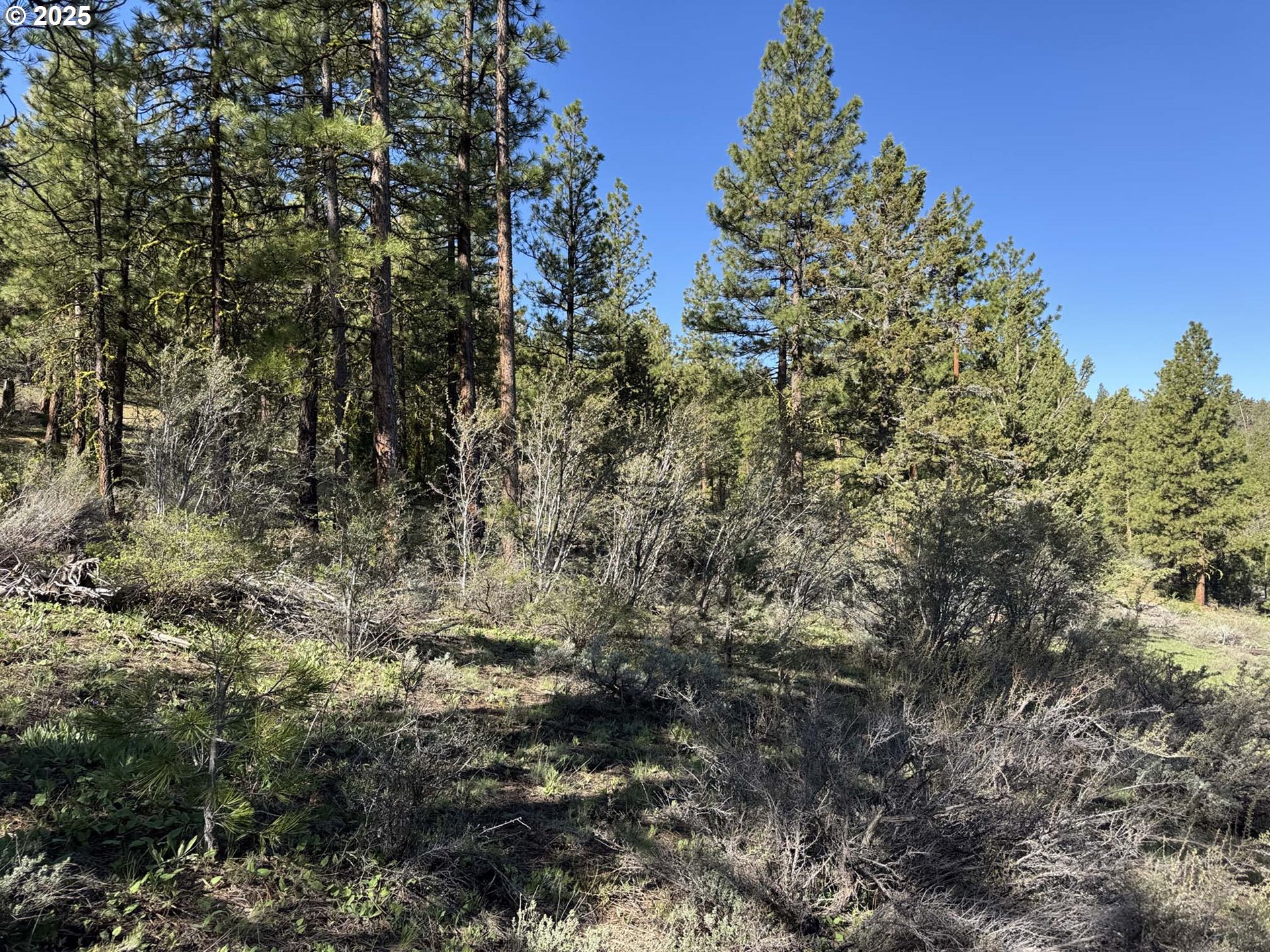 Drews Gap Road, Unit TL 1300 Lakeview, OR 97630 - Photo 4 of 43 Gallery Image 4