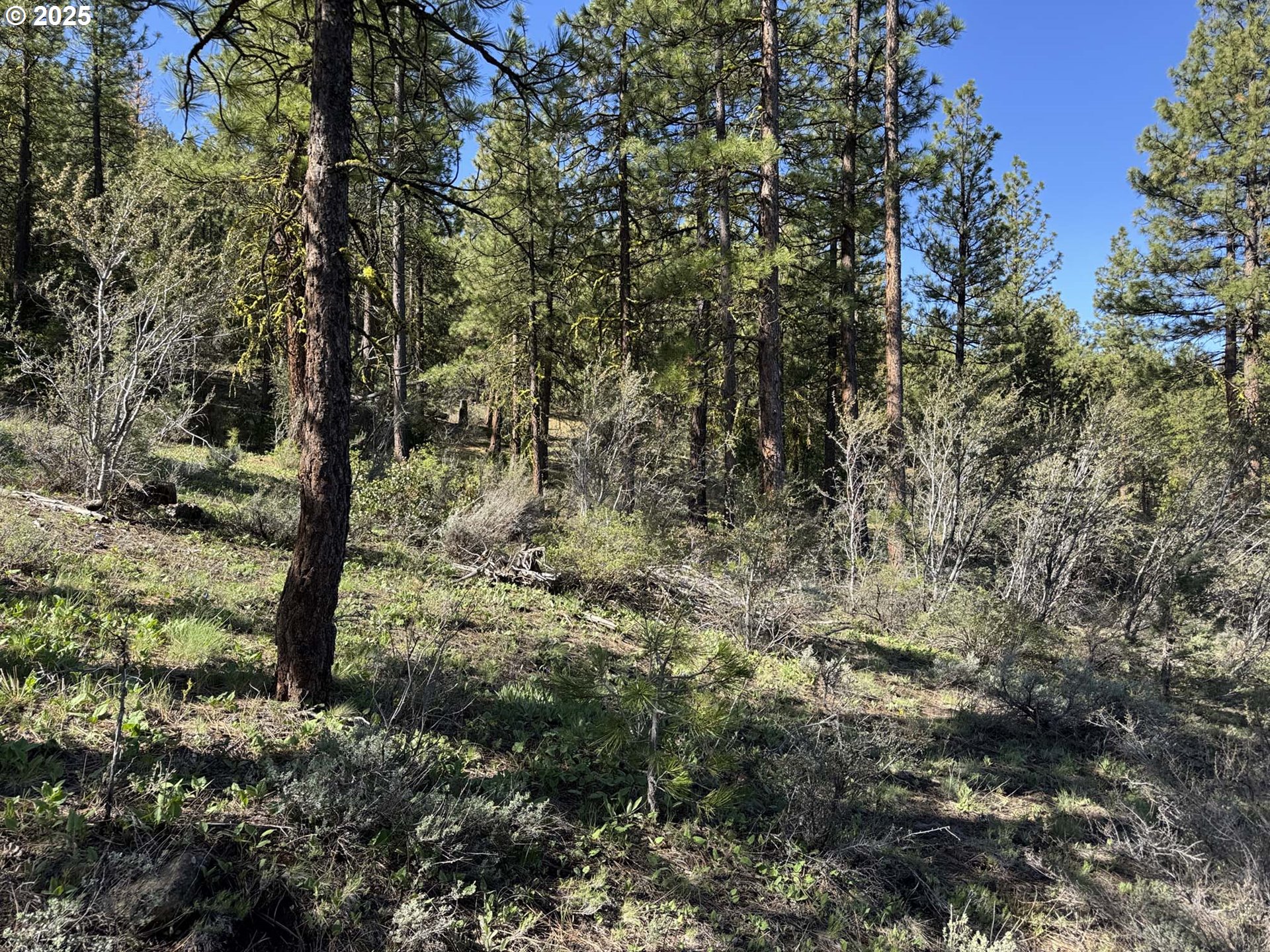 Drews Gap Road, Unit TL 1300 Lakeview, OR 97630 - Photo 5 of 43 Gallery Image 5