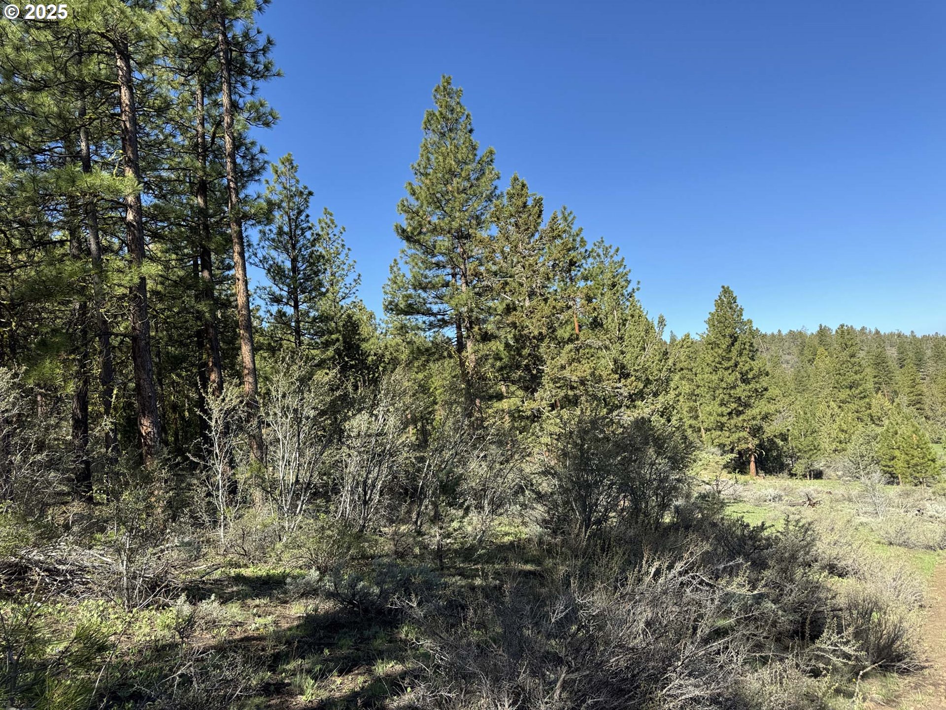 Drews Gap Road, Unit TL 1300 Lakeview, OR 97630 - Photo 6 of 43 Gallery Image 6